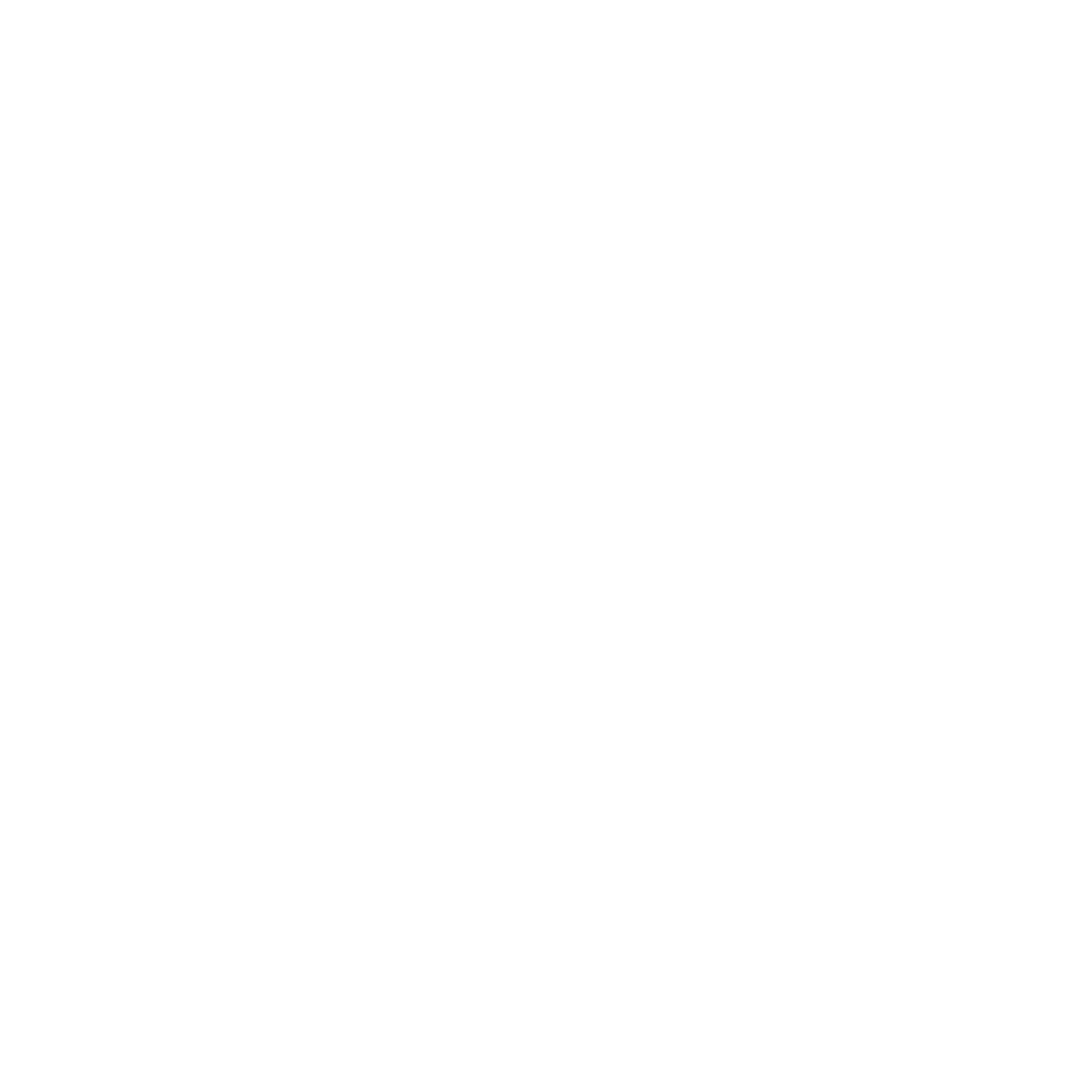 VagusRestore Logo